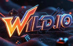 Wild.io Bitcoin casino Canada – huge 9000+ games library & 350% welcome bonus