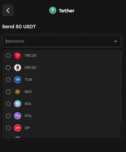 Fairspin USDT deposit networks TRC20 ERC20 TON BSC SOL